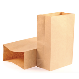 [000625] PKG KRAFT PAPER BAGS 12X7X17 DD60 X500