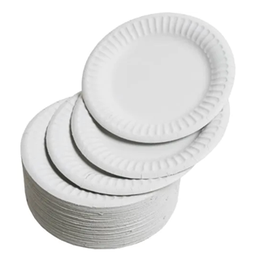 [000812] PKG-CH WHITE PAPER PLATE UNCOATED 9IN 12 X 100